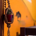 The Monk\'S Bunk